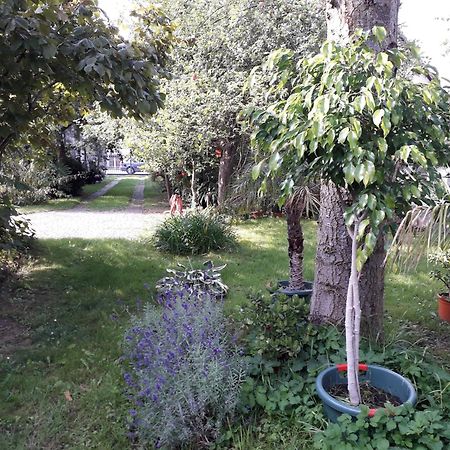 Ferienhaus Gartentraum Rheinsberg Exteriör bild